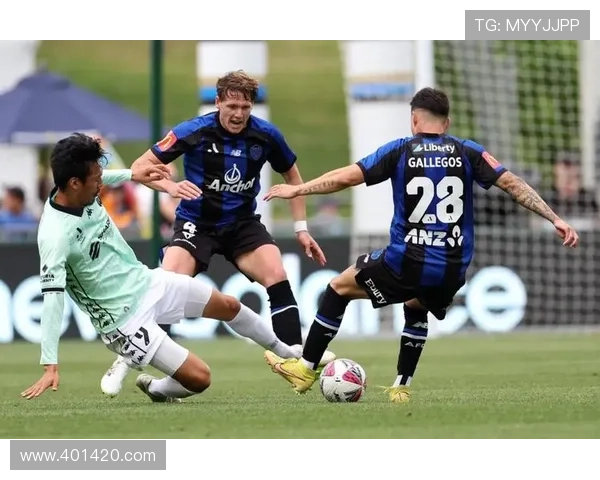 阿德莱德联战平奥克兰FC 阿拉吉奇破门加列戈斯扳平